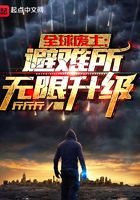 全球废土:避难所无限升级