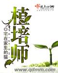 纯阳仙境