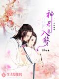 上仙难逑:神君要入赘