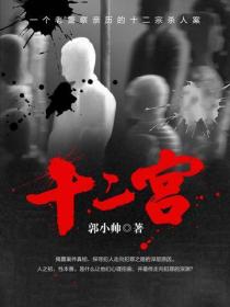 十二宫:一个老警察亲历的十二宗杀人案