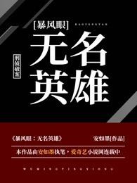 暴风眼:无名英雄