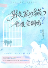 从武林开始修仙的小说