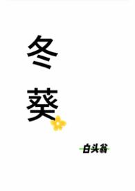 娱乐风云电视剧