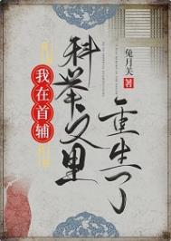 凤凰阿姆最炫八百里