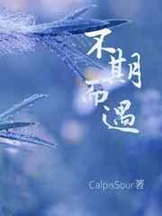 不期而遇的生活