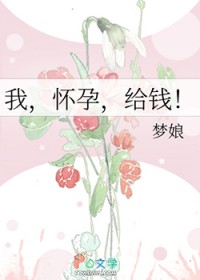 我,怀孕,给钱!