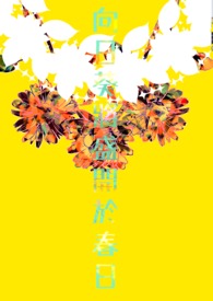亲爱的路人 钢琴