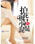 护花极品小混混