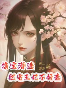 携宝潜逃:肥宅王妃不好惹