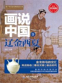 画说中国&middot;辽金西夏(看得见的中国历史)