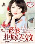 求婚101:老婆,拒嫁无效