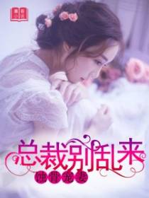 蚀骨宠妻:总裁别乱来