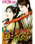 痴傻公子俏媳妇