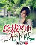 毒舌总裁绕心妻
