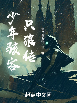 少年骇客:从只狼归来的田小班