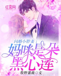 闪婚小胖妻:妈咪是朵黑心莲