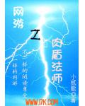 一夜暴富:我做风险投资的日子 小说