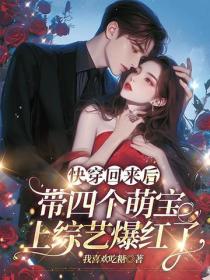 快穿回来后,带四个萌宝上综艺爆红了