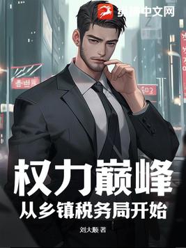 权力巅峰:从乡镇税务局开始