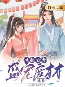 凤起云州:盛宠废材狂妻