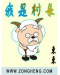 我是村长