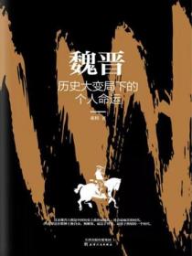 魏晋:历史大变局下的个人命运