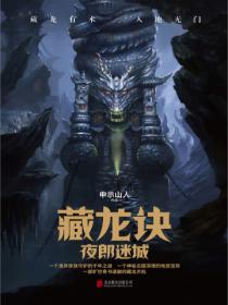 藏龙诀:夜郎迷城