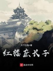 红楼庶长子类小说
