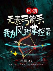 网游:元素弓箭手,我为风神掌控者