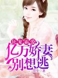 亿万盛宠霸道总裁轻点宠