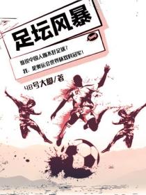 足坛风暴