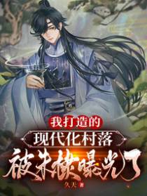 我打造的现代化村落,被朱棣曝光了