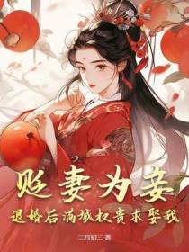 贬妻为妾王爷他后悔了小说
