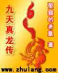 仙界医生在都市