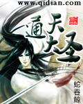 异界圣骑士
