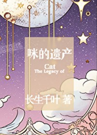 女尊之本来只想当个高级公务员