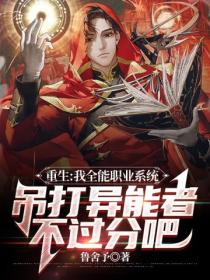 我全职业系统小说