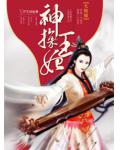 神探王妃