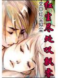我拿婚姻赌明天小说