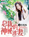 地球最后一条龙免费阅读