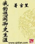 丽影视界