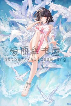 网游之菜鸟玩家全文免费阅读
